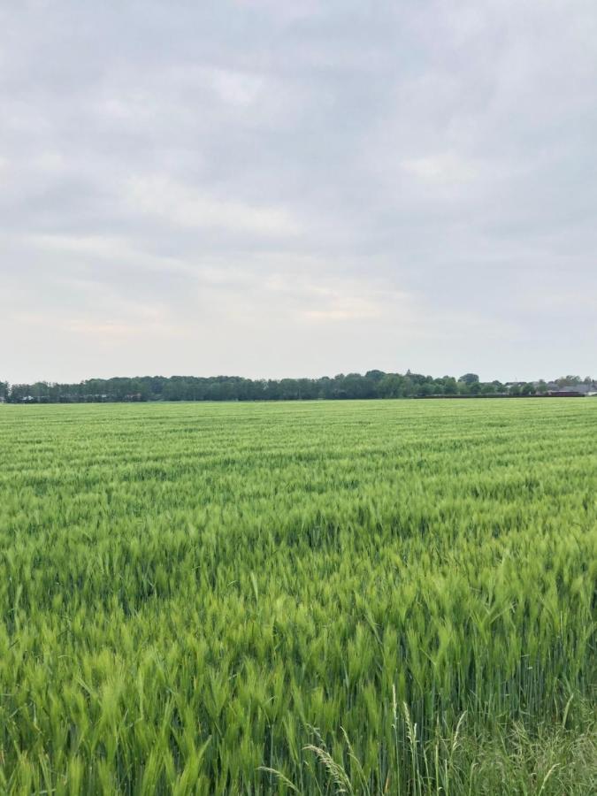 Bee Home - Urlaubs Und Business Loft Kevelaer Zewnętrze zdjęcie
